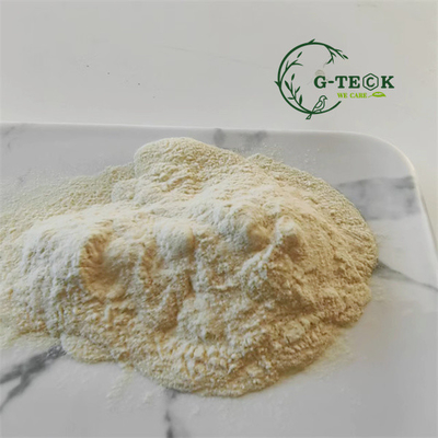 Organic Nitrogen Natural Amino Acid Supplements 80% Powder