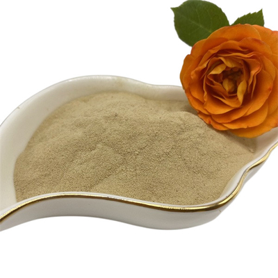 Light Brown Amino Acid 50 40%-45% Free Nourishes Soybean Meal